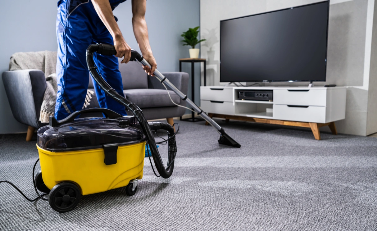 Extract Upholstery Cleaning Cardigan Contact Office